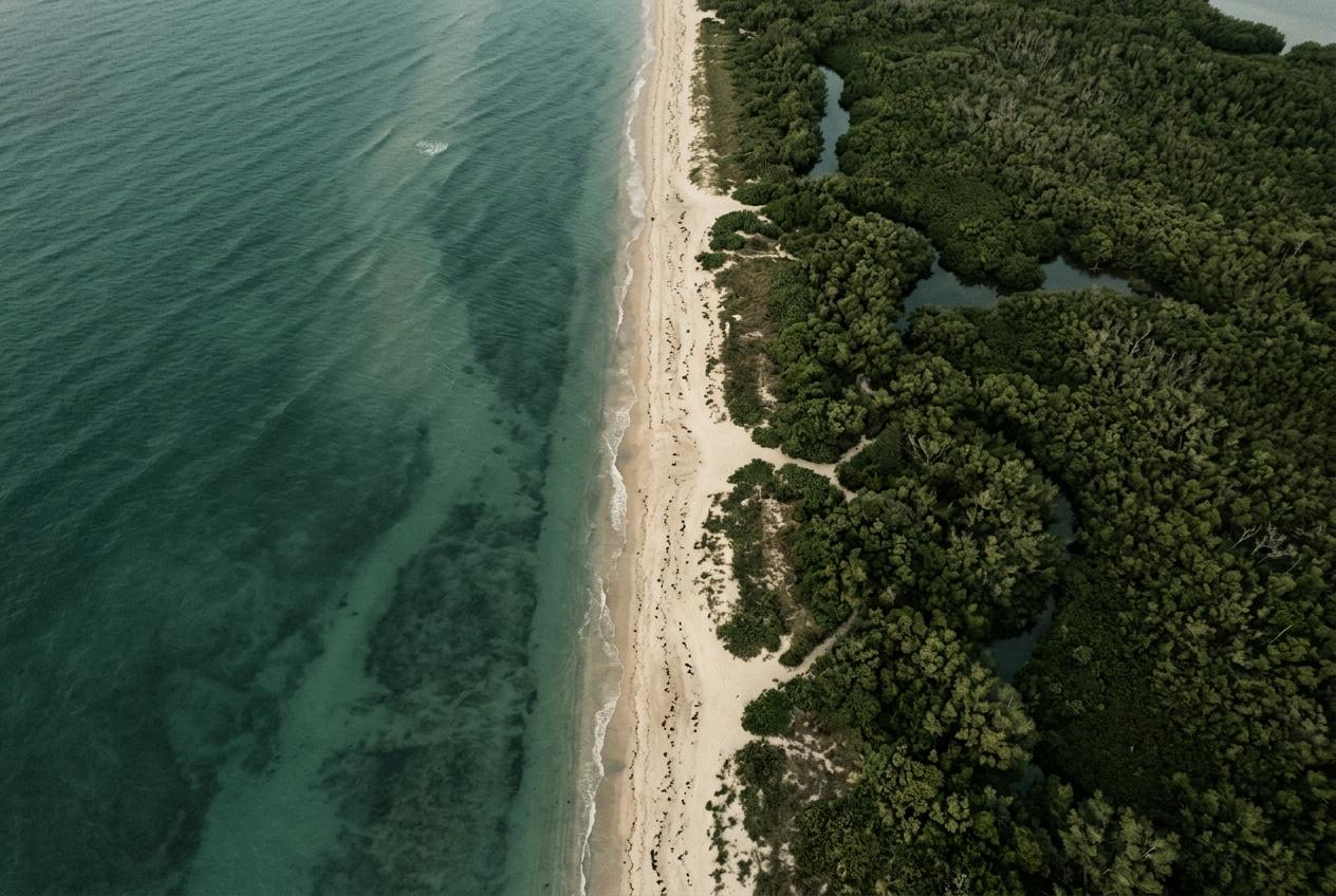 Aerial view of the Florida coastline